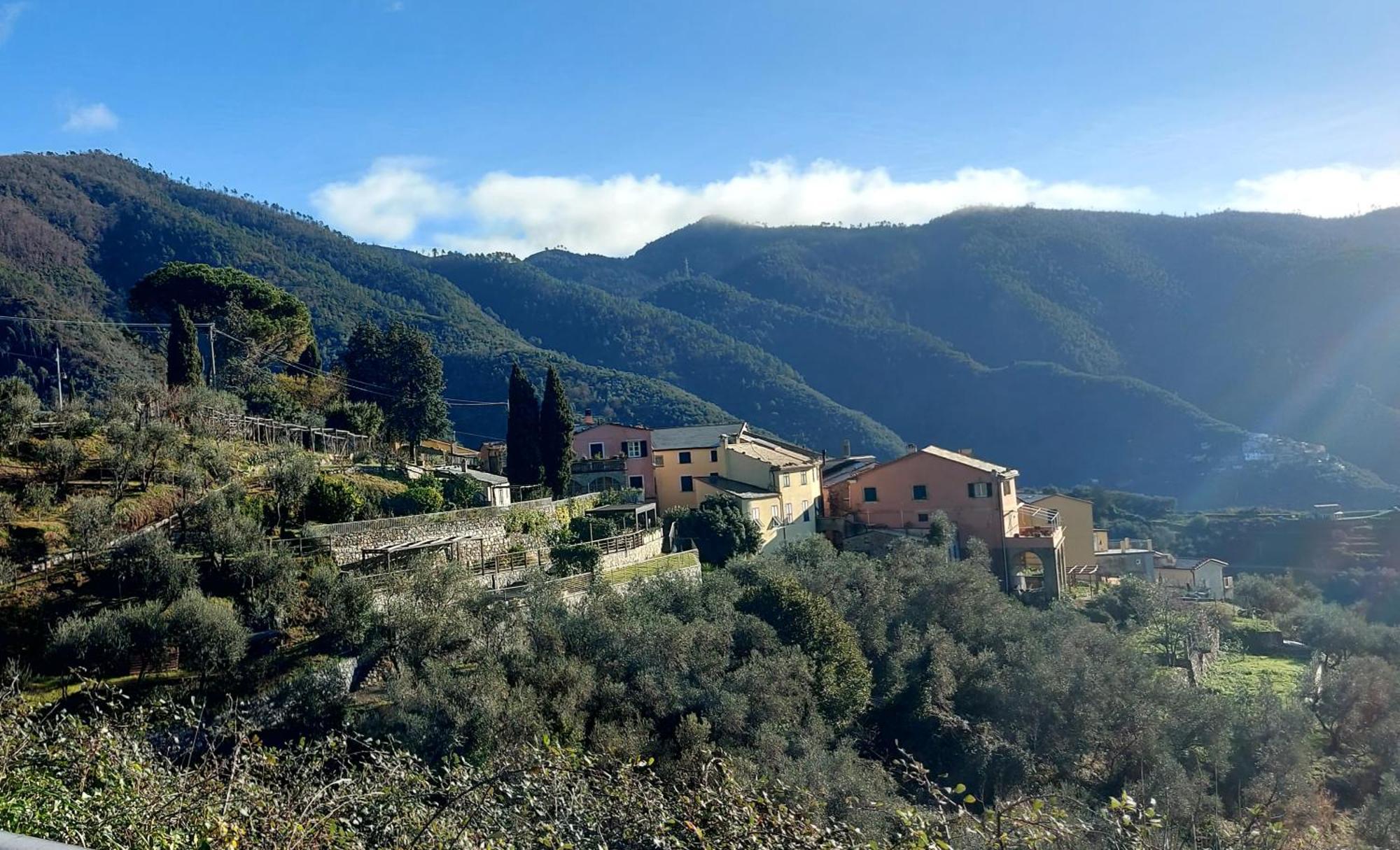 Holiday home La Jeannotte *